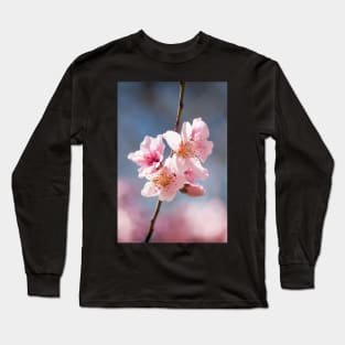 Cherry Blossom Long Sleeve T-Shirt